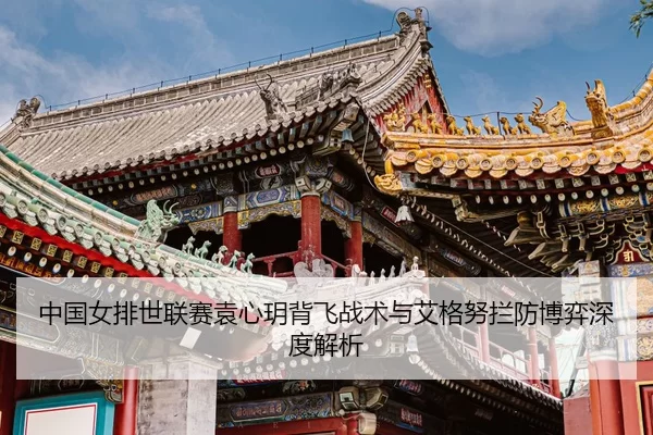 zhong-guo-nv-pai-shi-lian-sai-yuan-xin-yue-bei-fei-zhan-shu-yu-ai-ge-nu-lan-fang-bo-yi-shen-du-jie-xi-3-636.jpg